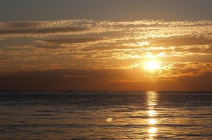 4910303358_101ac07014