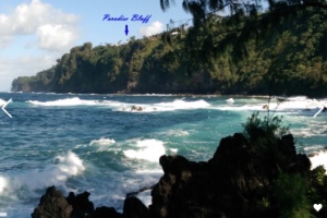 Big Island Hawaii Rentals, Laupahoehoe Villa, Paradise Bluff