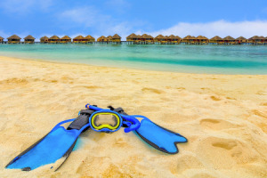 snorkling gear