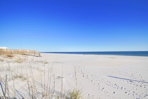 Gulf Shores White Sandy Beaches