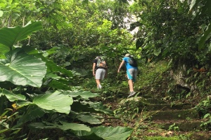 Saba Mountain Rainforest Hiking
