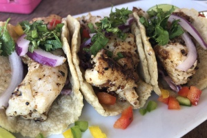 fish tacos