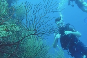 scuba diving in belize