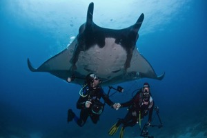 Jaco Beach House Rentals, Scuba Diving with manta rays 