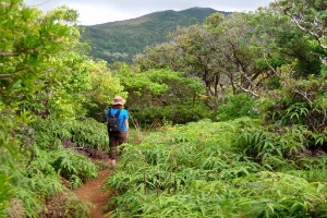 Kapalua Village Walking Trails, Hiking in Maui