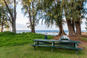Big Island Hawaii Rentals, Laupahoehoe Beach Park